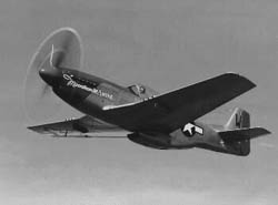 P-51 mcswine